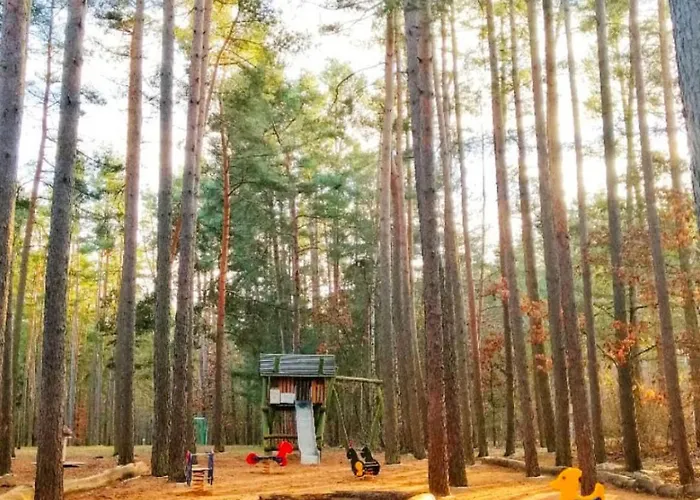 Naturama Brombachsee Trollwald * 플라인펠트